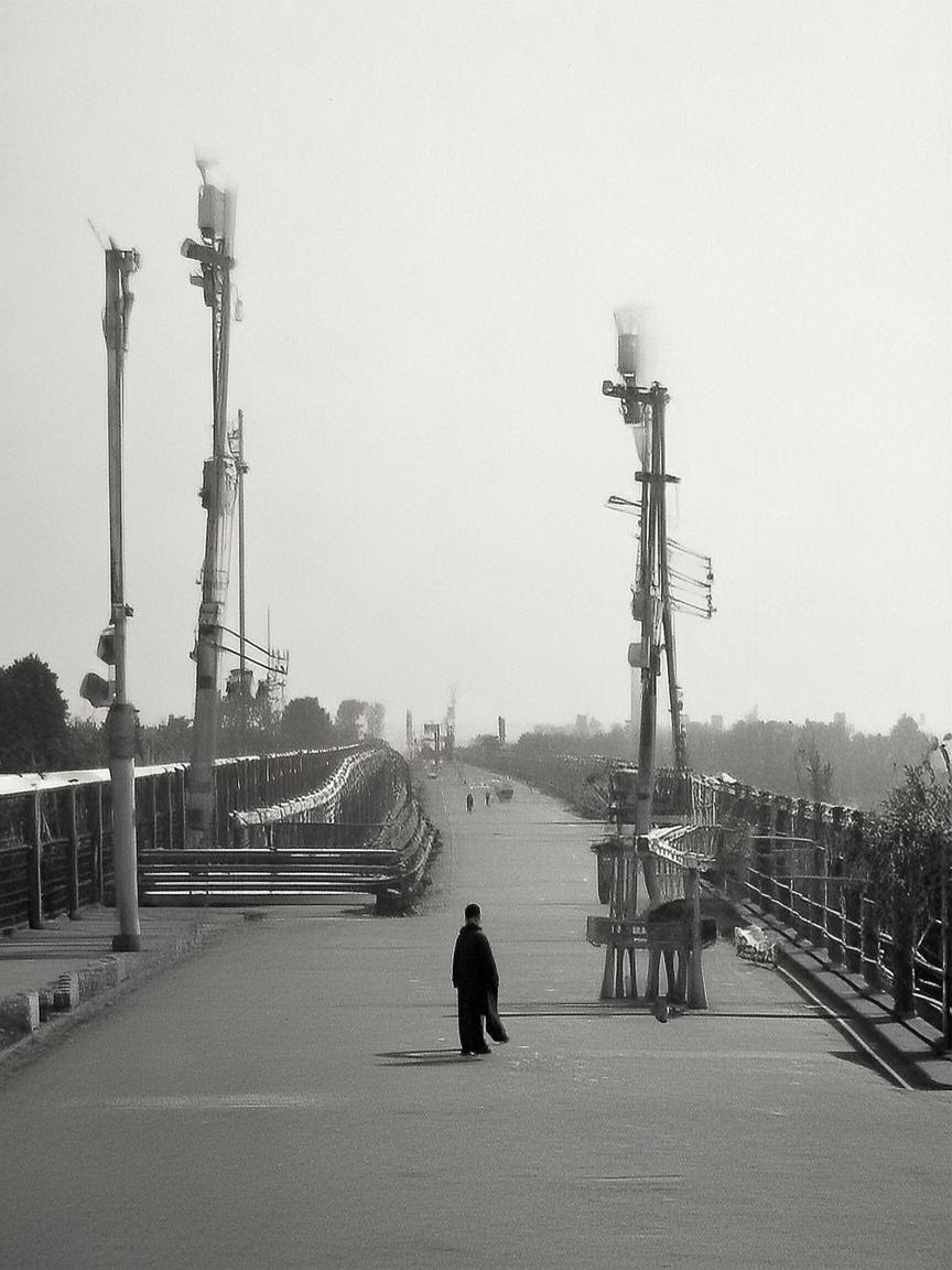 抖音怎么准确涨粉快_抖音快速涨粉技巧插图 抖音怎么准确涨粉快_抖音快速涨粉技巧插图