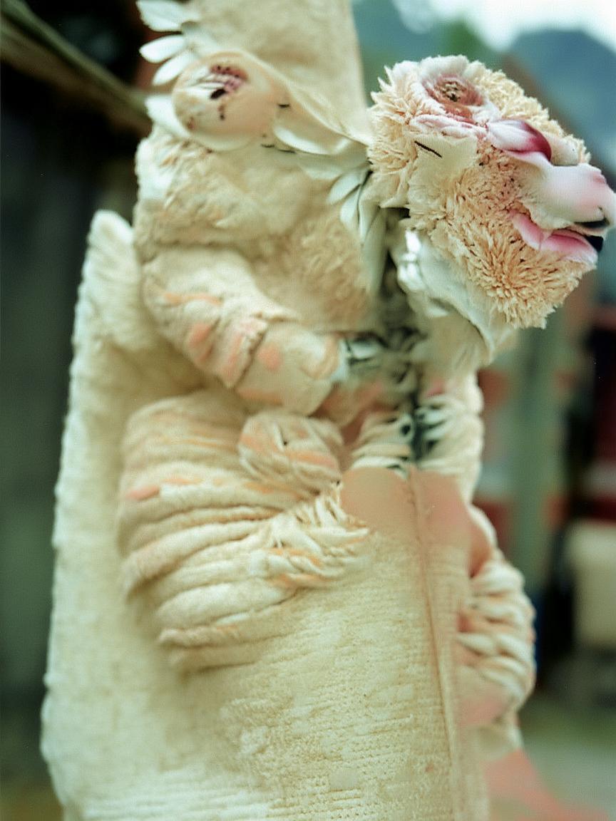 抖音账号怎么涨粉_抖音如何快速涨粉?插图 抖音账号怎么涨粉_抖音如何快速涨粉?插图